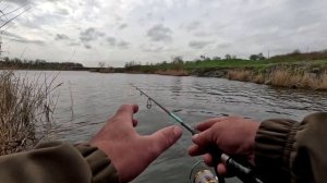 ПОПЛАПОПЕР КРУПНАЯ ВЕРХОВОДКА ВЕСНОЙ