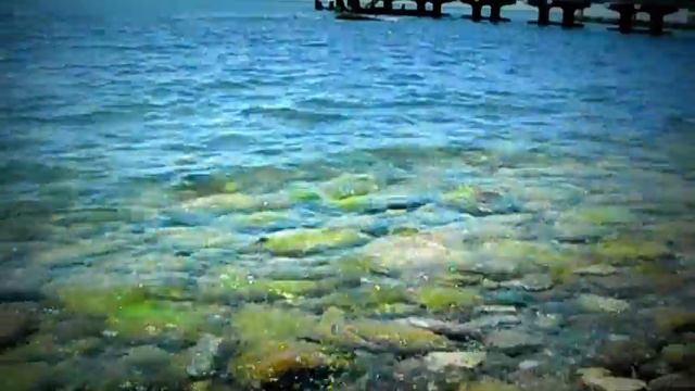 Черное Море,Хоста 2010/Black Sea,Khosta 2010 смотреть онлайн