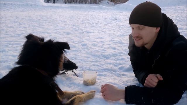 Прогулка с вороной смотреть онлайн