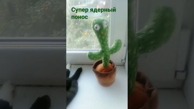 СУПЕР ЯДЕРНЫЙ ПОНОС!!!!!!!!!