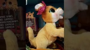 интерактивная кенгуру Джози и её малыши