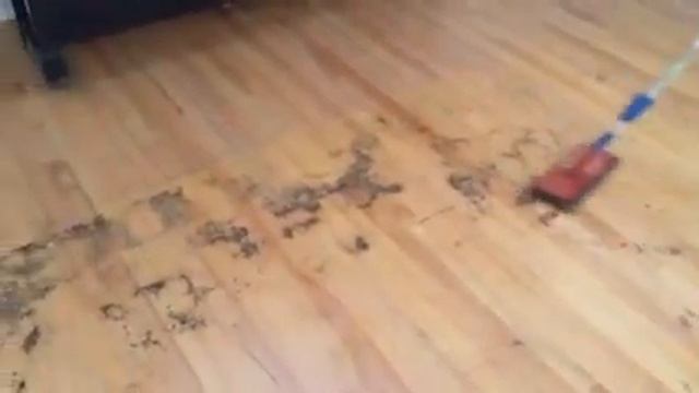 Cleaning Glue off Hardwood Floor смотреть онлайн