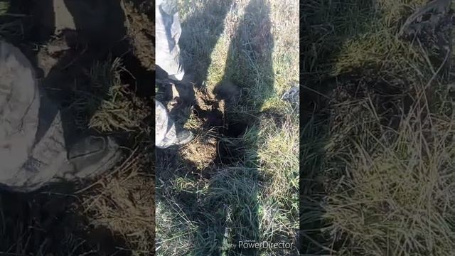 Реальный коп без постановки с ТХ850
