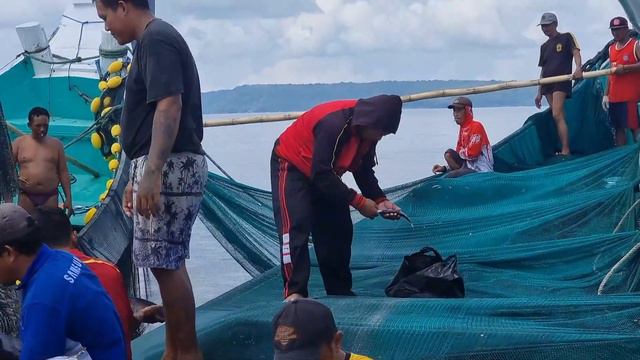 MENANGKAP JUTAAN IKAN SARDEN DAN TONGKOL[]NELAYAN MUNCAR смотреть онлайн