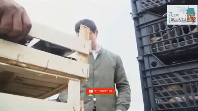 Кадры разгрузки той самой фуры с продуктами? смотреть онлайн