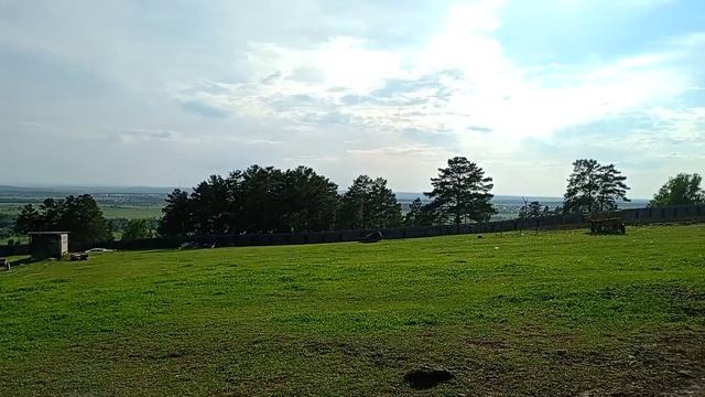 Быки на летнике ▶ стрижка овец | Июнь 2023 смотреть онлайн