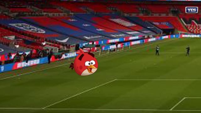 Angry Birds Toons | Football Stadium - S4 Ep3 смотреть онлайн