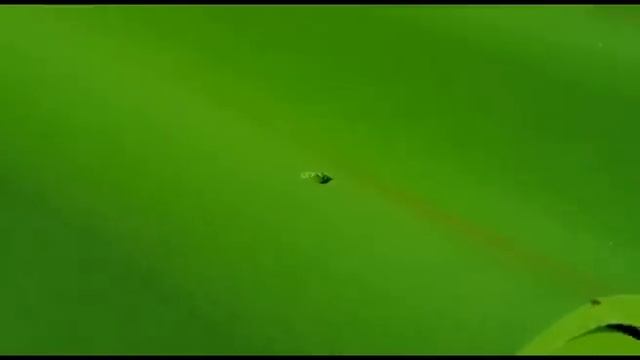 Правила монтажа кровельных листов "Волнаколор" смотреть онлайн