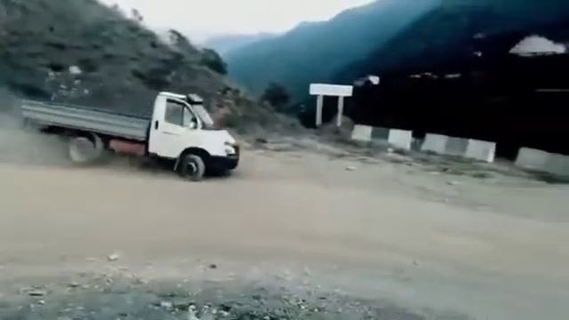 Gazelle Gazel 3302 Drift