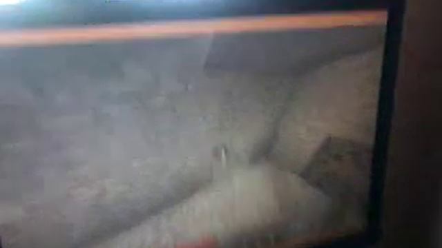 (Майнкрафт выжывание ) нашли бонусный сундук #1 смотреть онлайн