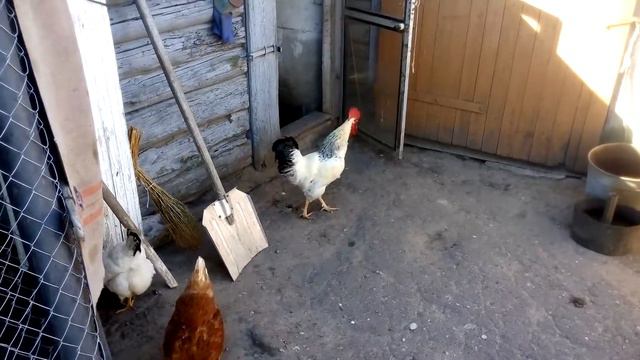 Мужчина и роды… смотреть онлайн