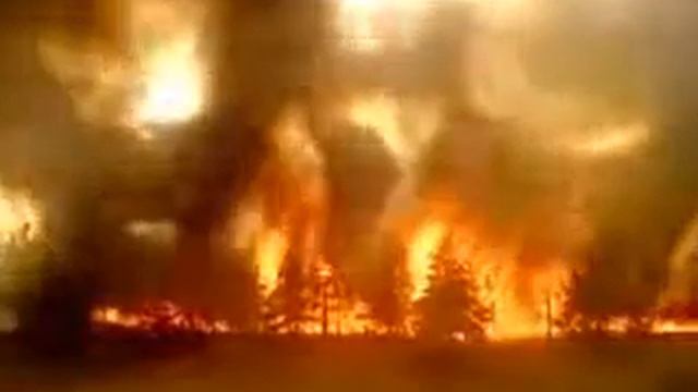 Копия видео Лесной пожар около завода смотреть онлайн