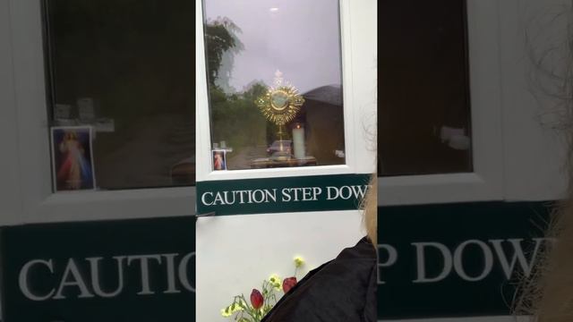 I RAISE MY EYES TOWARDS the MOUNTAINS! | 4/30/20 | Catholic Reflection | 150 Day Psalm Challenge смотреть онлайн