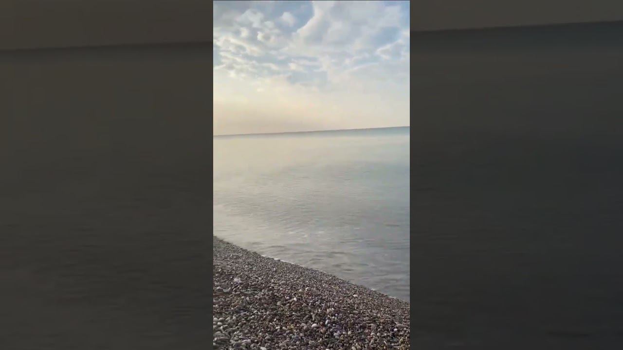 16.01.23 г. Доброе утро! Погода Лазаревское #shorts #погодалазаревское #лазаревское2023 #погодасочи смотреть онлайн