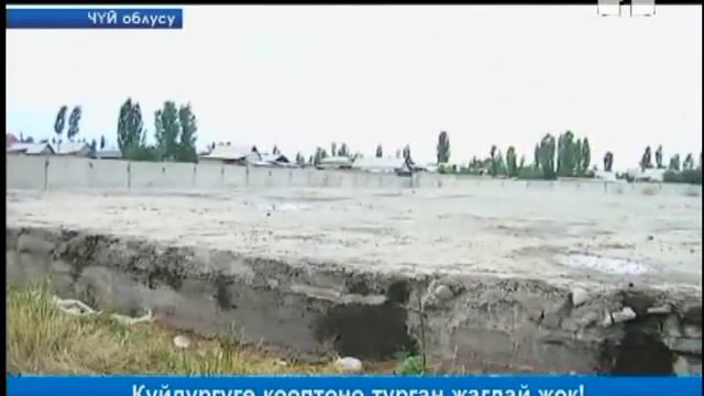 Т.Батыралиев сибирь жарасы боюнча маалыматты төгүндөдү смотреть онлайн