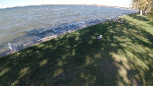 Sylvan Lake | Day Trip from Calgary | Beach Day смотреть онлайн