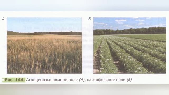 Краткий пересказ §32 Смена природных сообществ. Биология 6 класс Пономарева смотреть онлайн