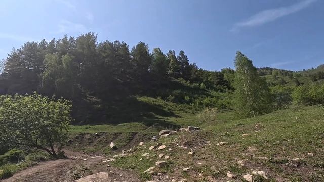 Семейное путешествие "дикарями" в Горный Алтайский край. Сентелек. Река Чарыш. смотреть онлайн