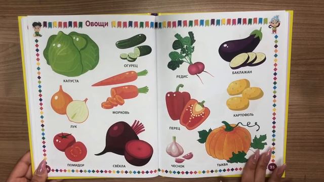 Детская энциклопедия в картинках. От 6 месяцев до 3 лет смотреть онлайн