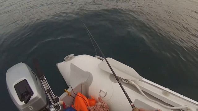 Ловля минтая и камбалы Владивосток смотреть онлайн