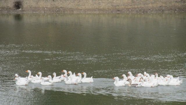 @ Как прекрасен этот мир смотреть онлайн