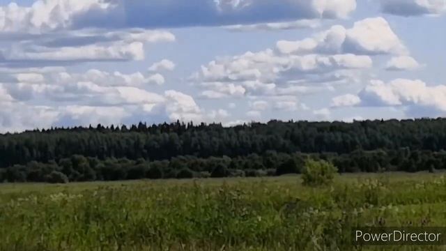 Таволга (Лабазник или Медуница) - волшебная трава от 40 болезней! смотреть онлайн