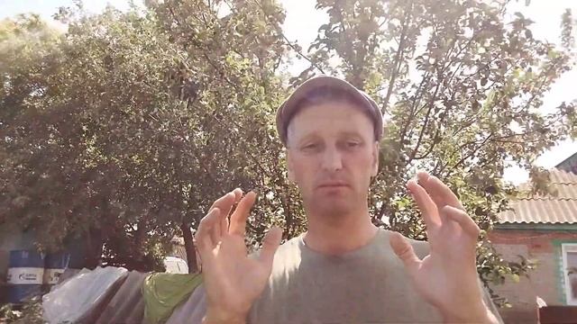 Сколько времени нужно чтоб родились новые пчёлы. Пасека от А до Я. смотреть онлайн