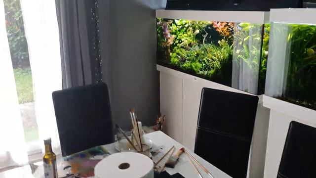 Аквариум Juwel 450L. Немецкое качество. Оторвало рёбра жёсткости. Чёрная борода в аквариуме. Ч 49. смотреть онлайн