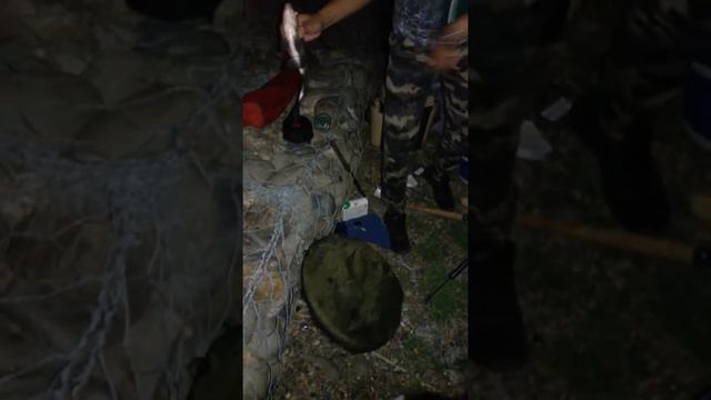 Озеро Карасун. Краснодар рыбалка в Краснодаре - в черте города. Лещ смотреть онлайн