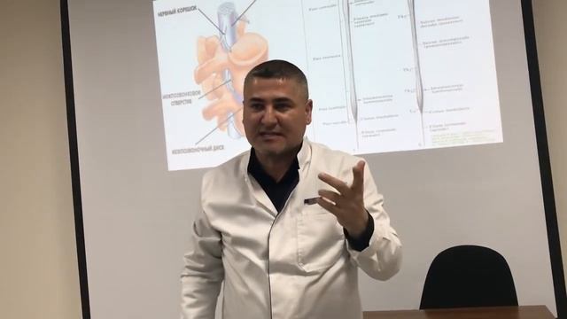 Общие принципы строения нервной системы смотреть онлайн