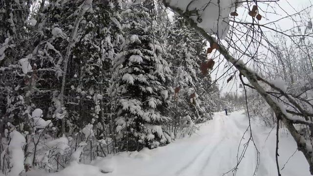 [Группа Дмитриева] - Лыжный Поход Петушки-Шатурторф, 2019/01/12 смотреть онлайн