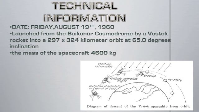 SUTNIK 5 PRESENTATION смотреть онлайн