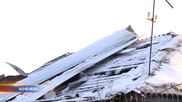 Мужчина поджёг дом со своей семьёй в Коченёве смотреть онлайн