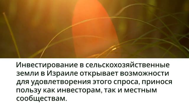 Земля Обетованная для Инвесторов: Сельское Хозяйство Израиля в Фокусе смотреть онлайн