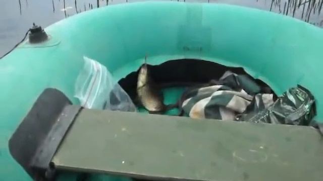 Россия Лето Караси 2 смотреть онлайн