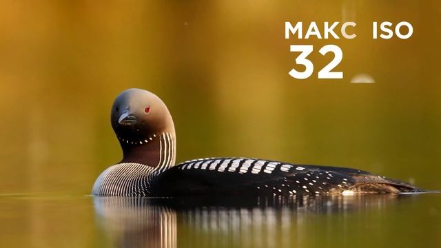 Canon EOS 90D обзор характеристик смотреть онлайн