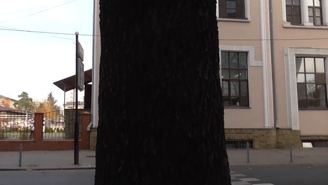 "Потому и нарушают, что ответственности нет !" Краснодар смотреть онлайн