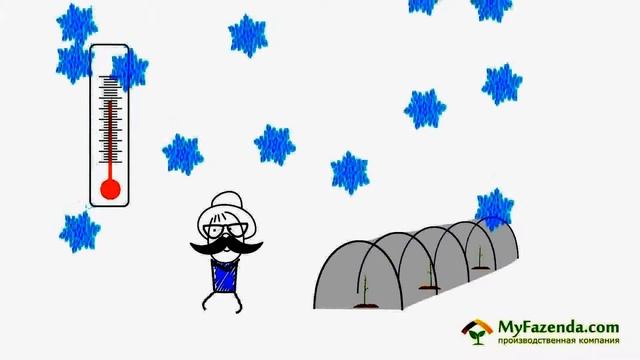 Купить парник в спб от производителя