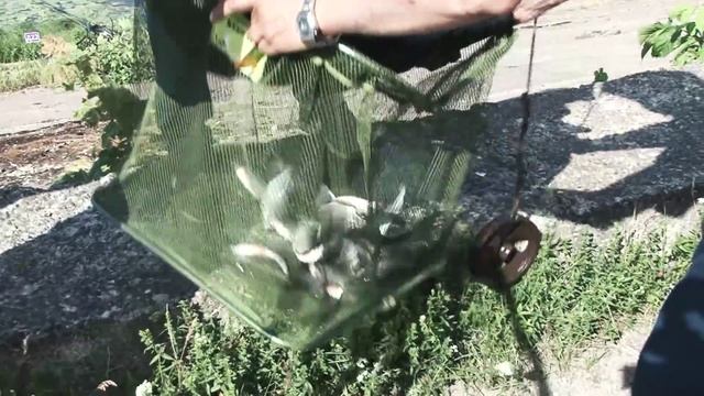 Кубок России 2015 по ловле донной удочкой (г. Нижний Новгород) смотреть онлайн