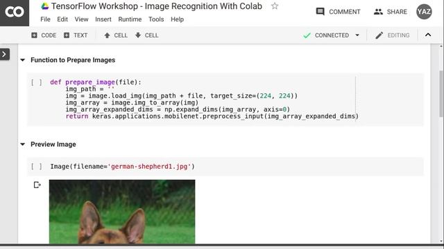 TensorFlow Workshop - Image Recognition With Colab смотреть онлайн