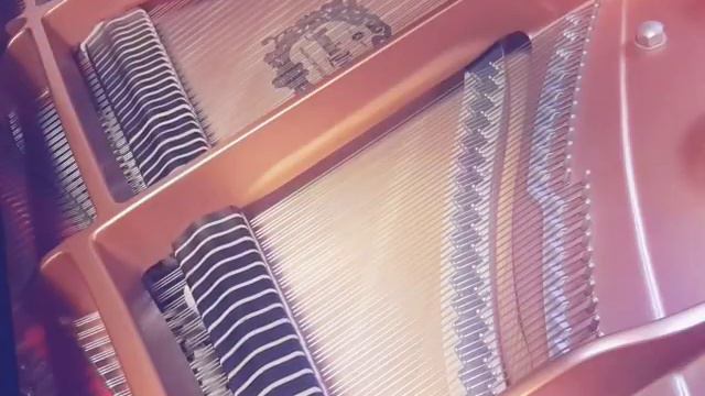 田中カレン 子猫のスーちゃん (Karen Tanaka Sue,the Kitty Cat ) смотреть онлайн