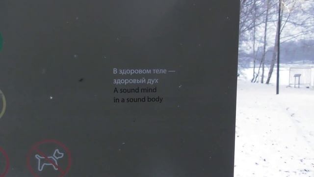 Парк "Кузьминки" в конце ноября 2020 года смотреть онлайн