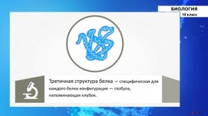 10-класс | Биолoгия | Органические и неорганические вещества, входящие в состав клетки.