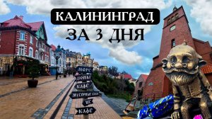 Калининград и область за три дня// Что посмотреть?