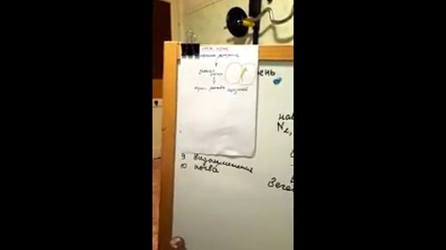 корень смотреть онлайн