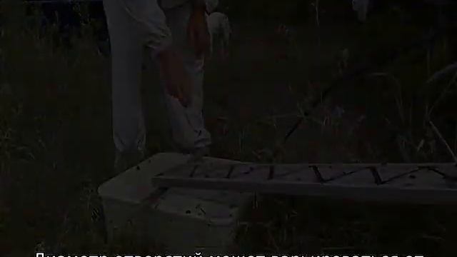 Поилка для пчел смотреть онлайн