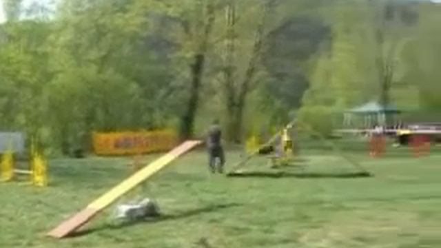 Agility v Ajdovscini 2007 смотреть онлайн