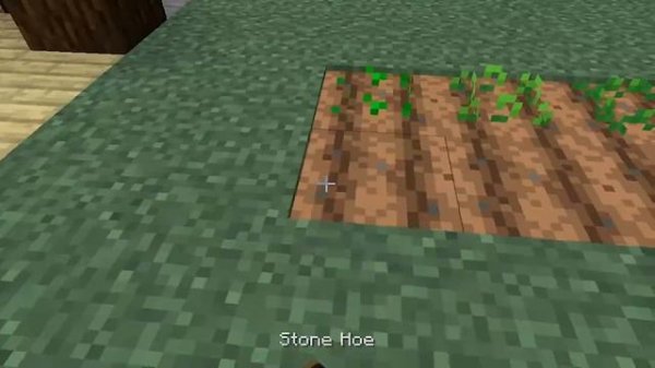 A New Beginning | Rose Corner #1