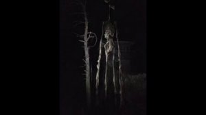 Страшные картинки со страшной музыкой