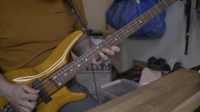 Metallica - My Friend of Misery, 1-take/chance Bass Cover смотреть онлайн